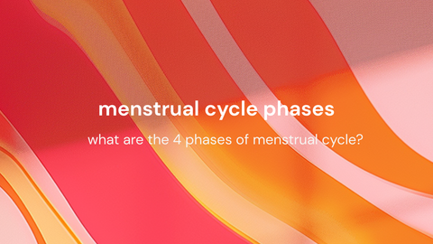 Menstrual Cycle Phases: What Are The 4 Phases Of Menstrual Cycle?