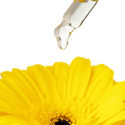 Luonkos Precious intimate oil ingredients – natural botanical oils with yellow flower ingredients display