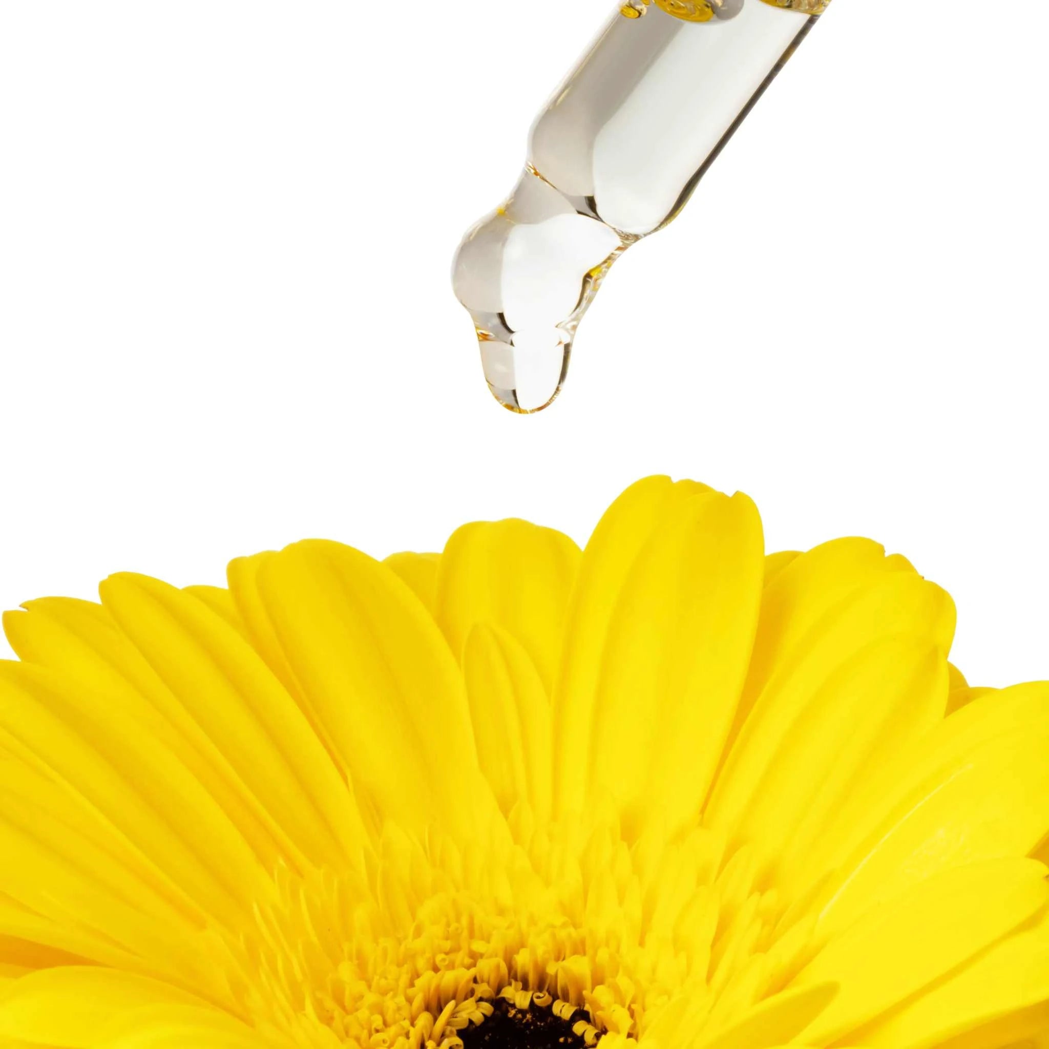 Luonkos Precious intimate oil ingredients – natural botanical oils with yellow flower ingredients display