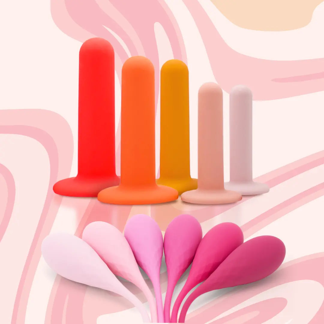 pelvic_floor.webp
